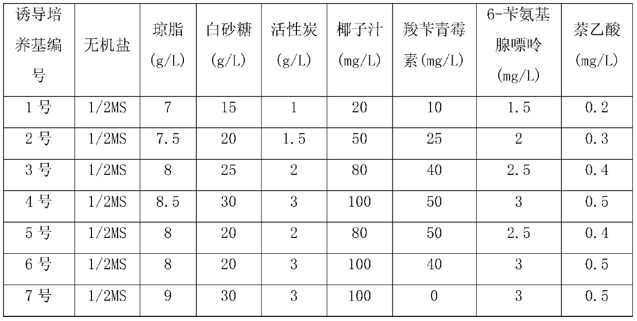 Inducing medium and method for improving survival rate of butterfly orchid pedicel