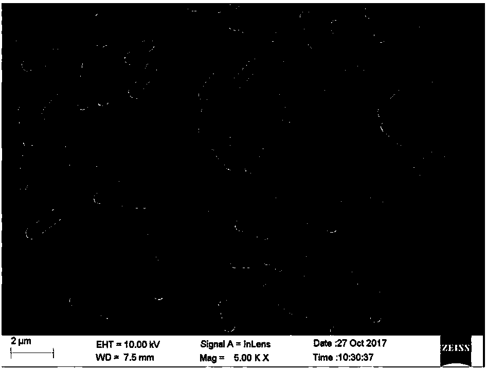 Bacillus velezensis for control of cucumber fusarium wilt and application thereof