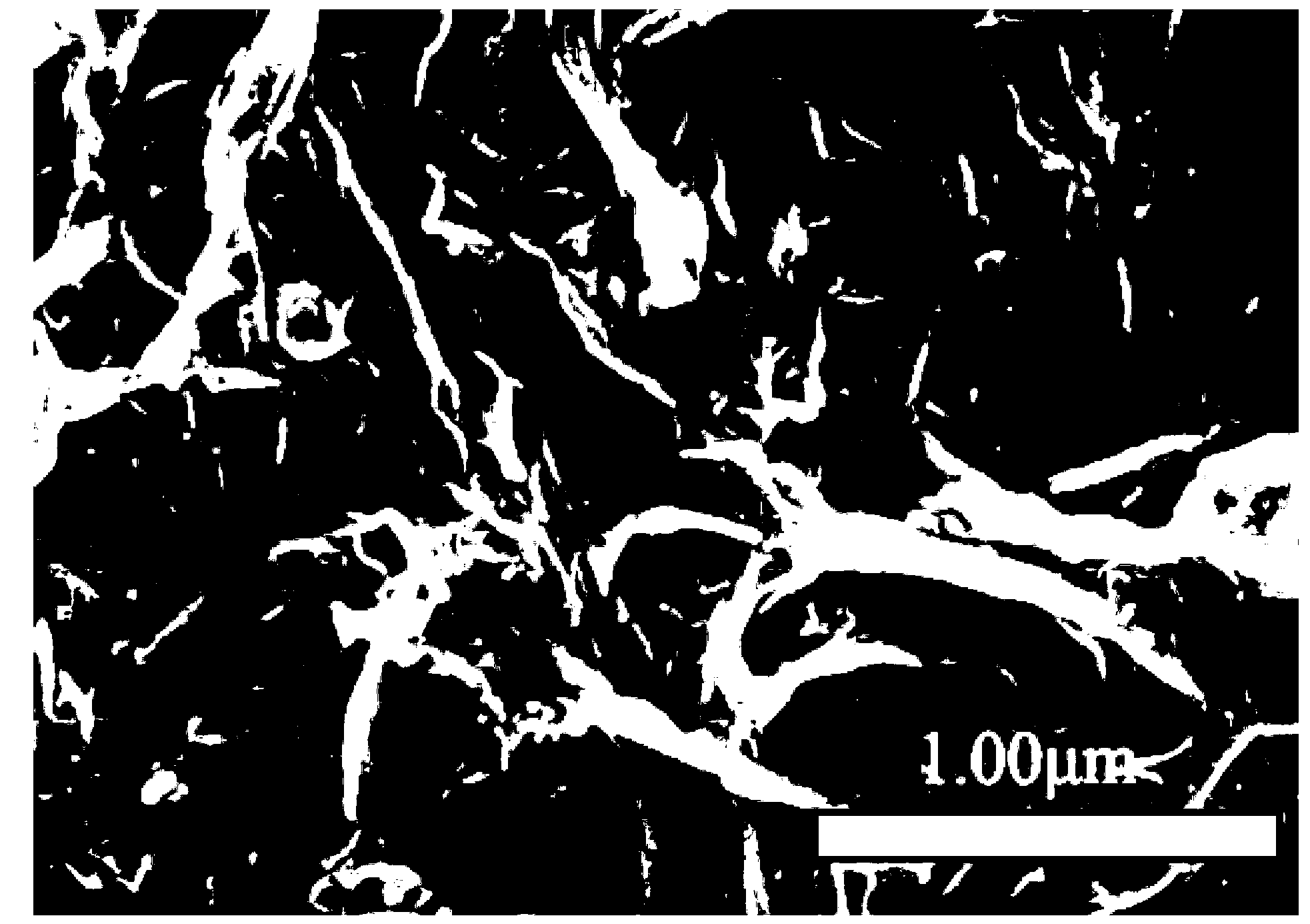 Polyamide and graphene oxide combined photoelectric material and preparation method thereof