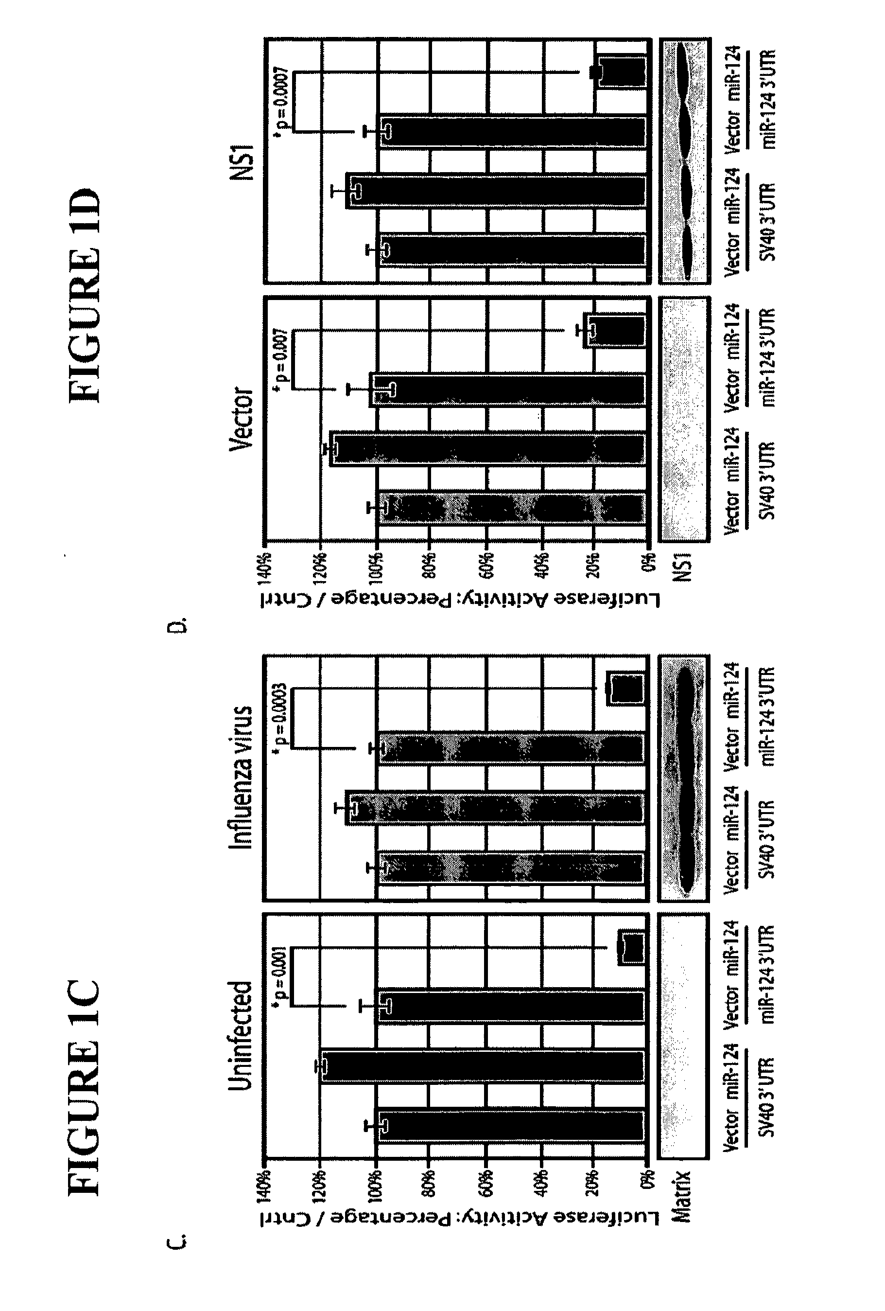 Live attenuated influenza virus vaccines comprising microRNA response elements