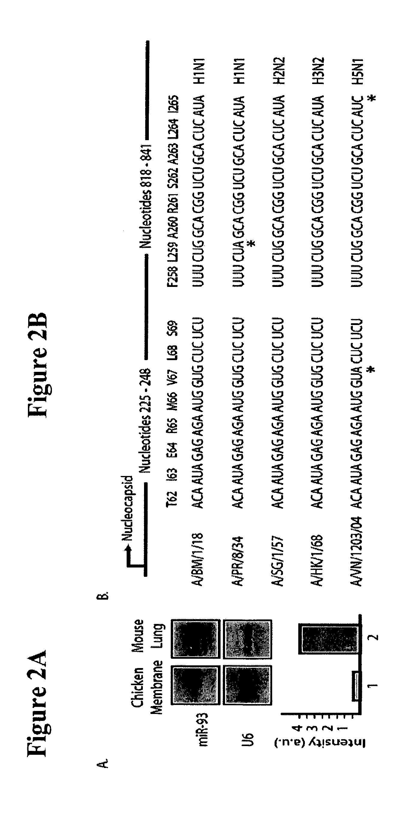 Live attenuated influenza virus vaccines comprising microRNA response elements