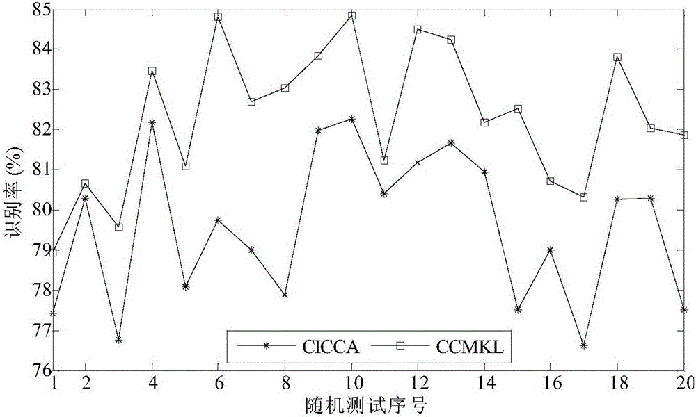 Color face recognition method based on typical correlation multi-kernel learning