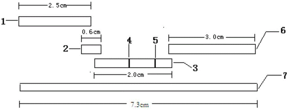 Streptococcus pneumoniae quantum dot immunochromatographic assay detection card and preparing method and application thereof