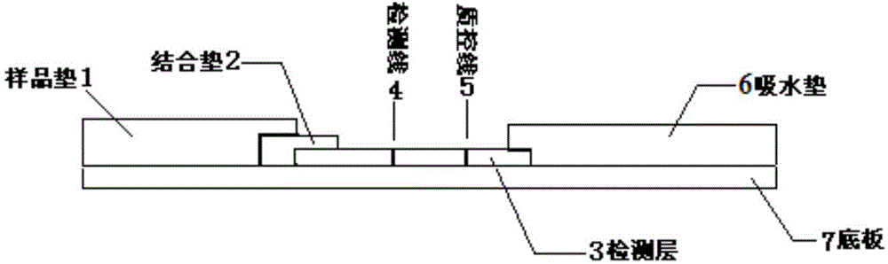 Streptococcus pneumoniae quantum dot immunochromatographic assay detection card and preparing method and application thereof