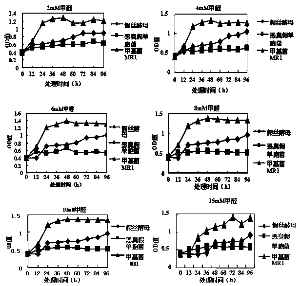 Novel methylobacterium MR1 and applications thereof