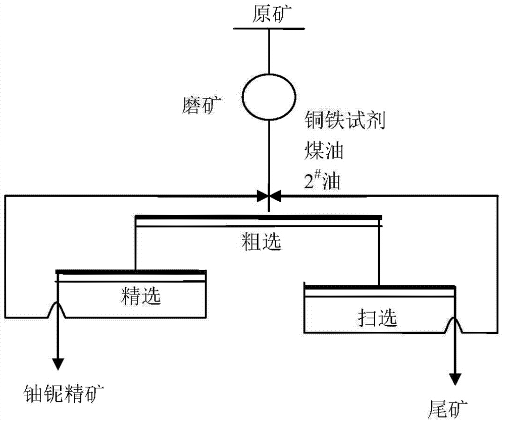 Niobium titanium uranium ore flotation process