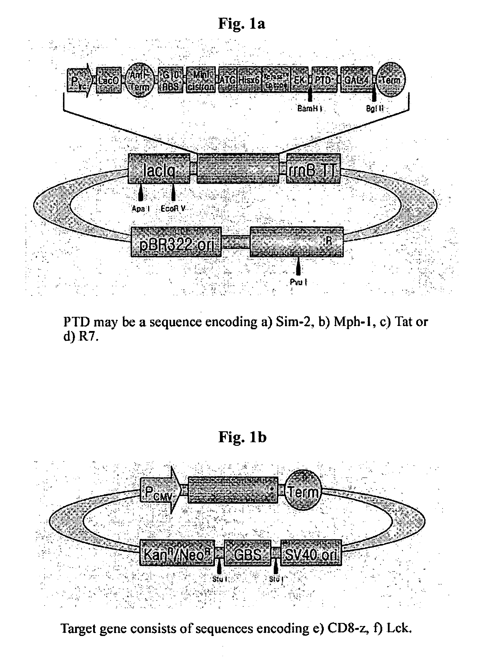 DNA/RNA transduction technology and its clinical and basic applications