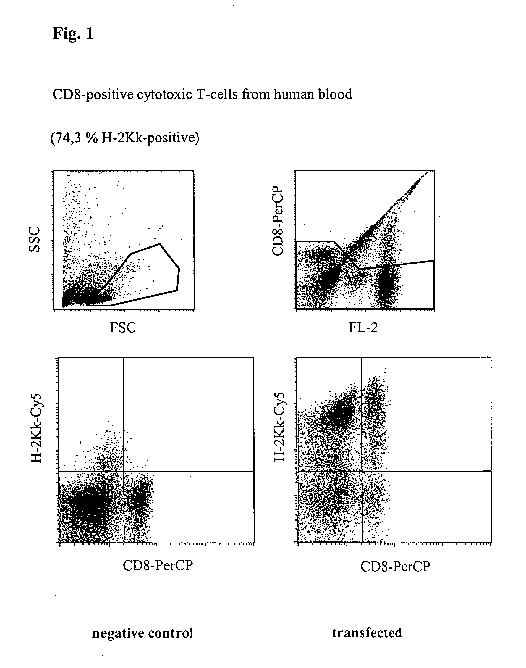 Circuit arrangement for injecting nucleic acids and other biologically active molecules into the nucleus of higher eucaryontic cells using electrical current