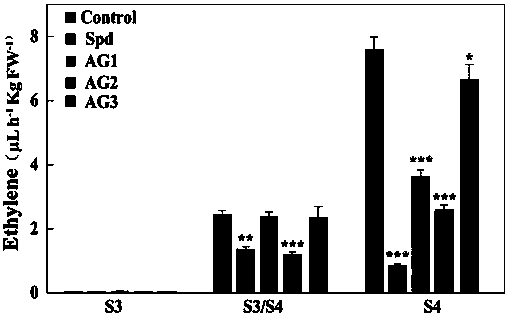 Application of polyamine decomposition inhibitor aminoguanidine in fruit preservation, and usage method of polyamine decomposition inhibitor aminoguanidine in fruit preservation