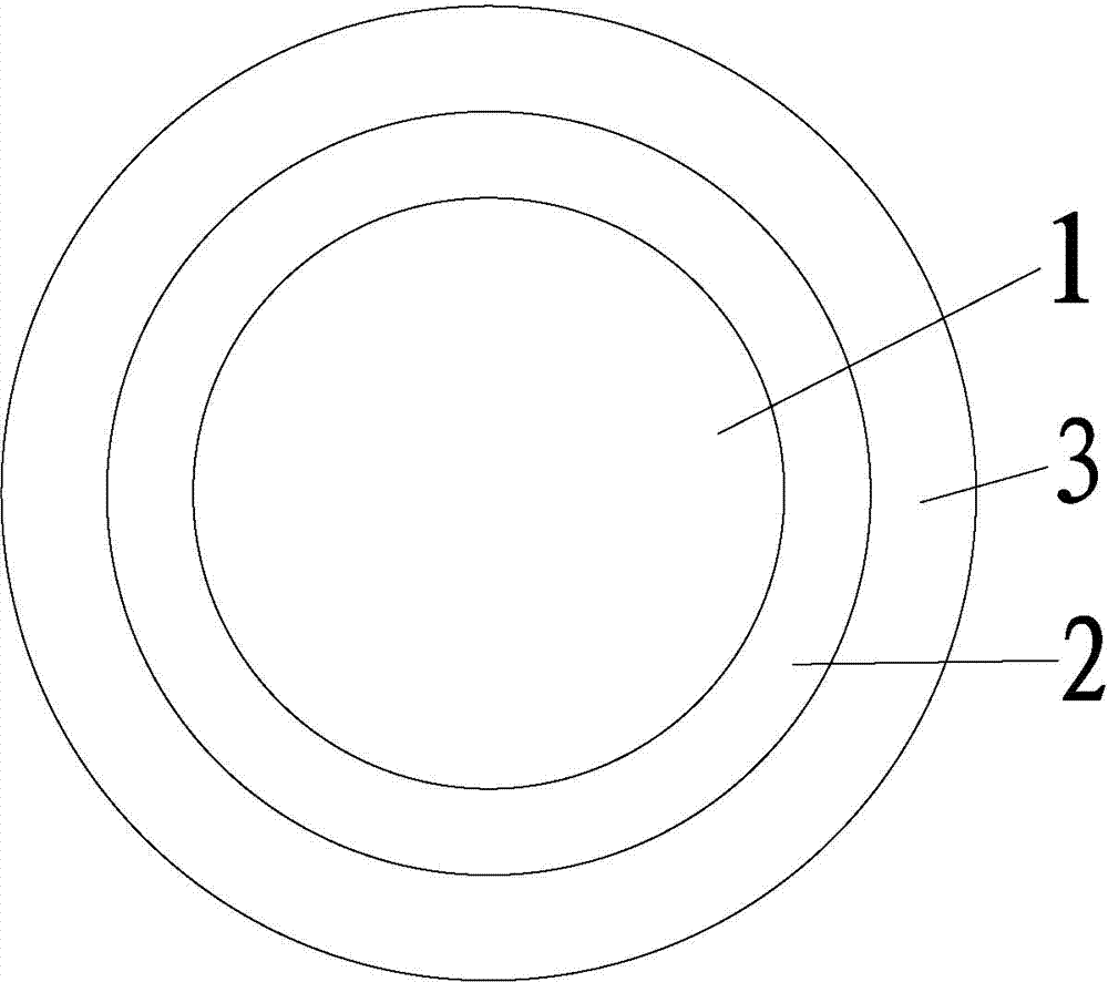 Coating structure applicable to high-voltage charge-discharge and manufacturing method of coating structure