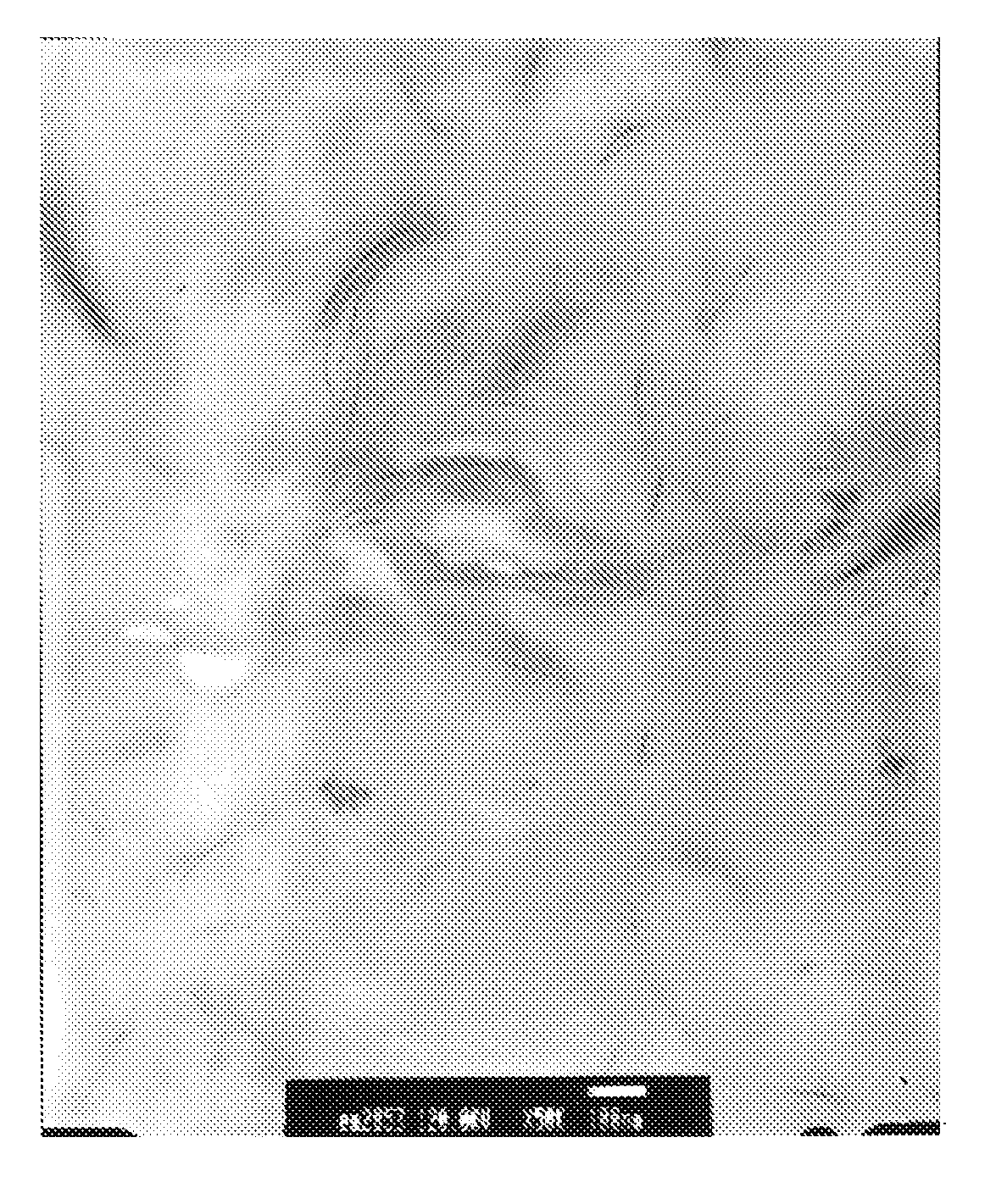 Anticorrosive Nanocomposite Coating Material, and a Preparation Process Thereof