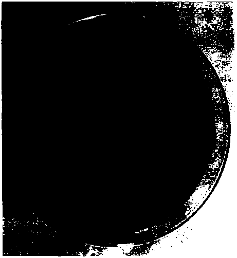 Pantoea with good degradation effect on cellulose