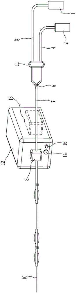 Mucous membrane staining system