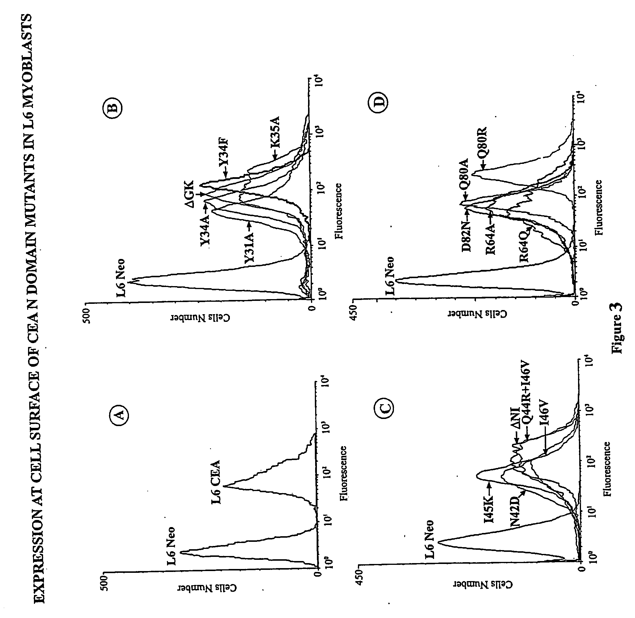 Antibodies and cyclic peptides which bind CEA (carcinoembryonic antigens) and their use as cancer therapeutics