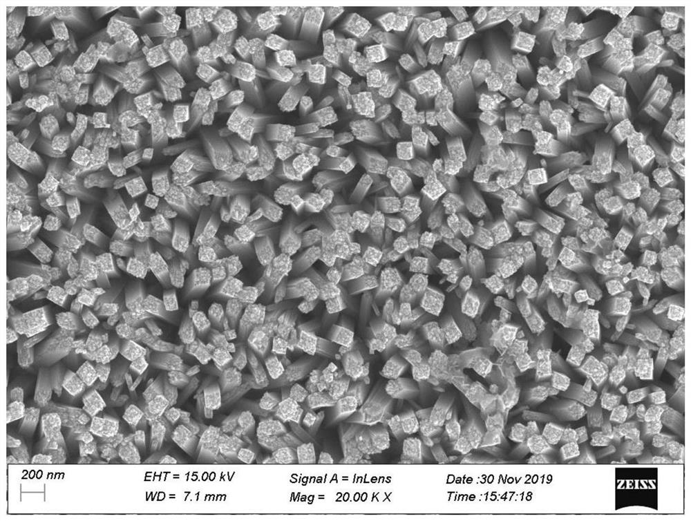 Nickel oxide/titanium dioxide nanorod composite structure gas sensor as well as preparation method and application thereof