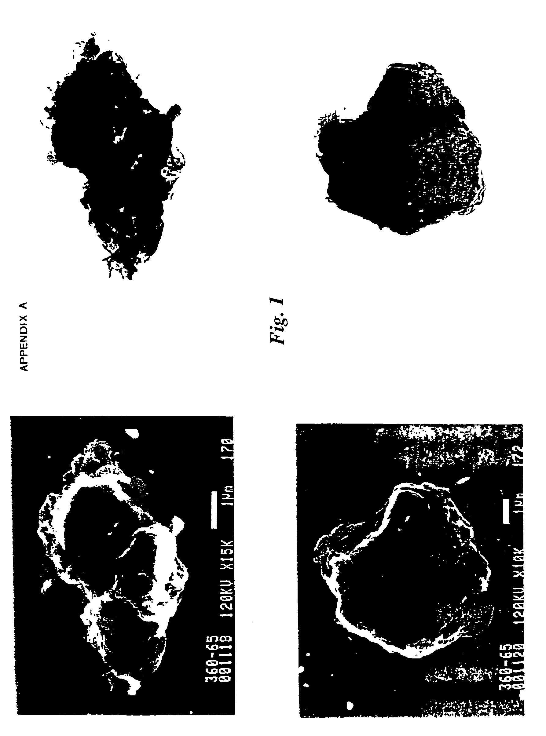 Hydrotalcites, syntheses, and uses