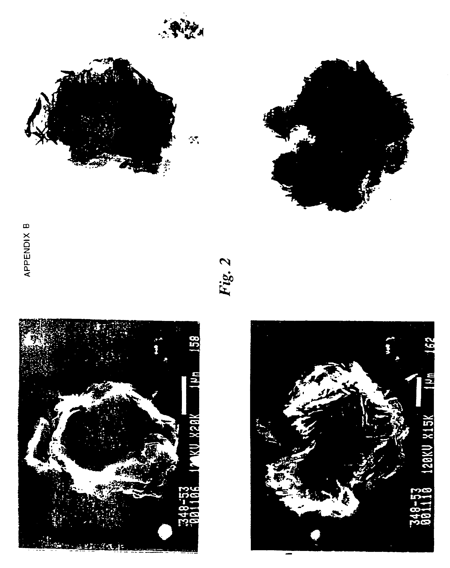 Hydrotalcites, syntheses, and uses