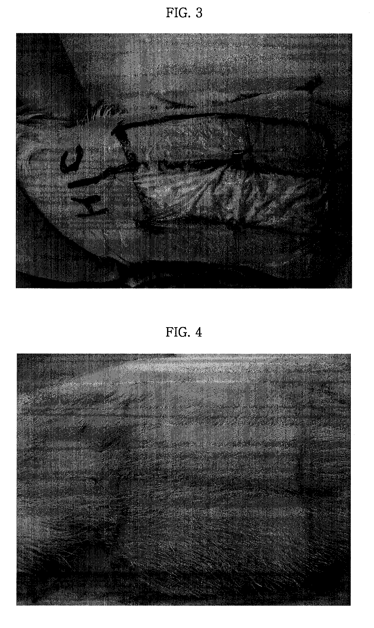 Compositions for Treating Alopecia or Promoting Hair Growth