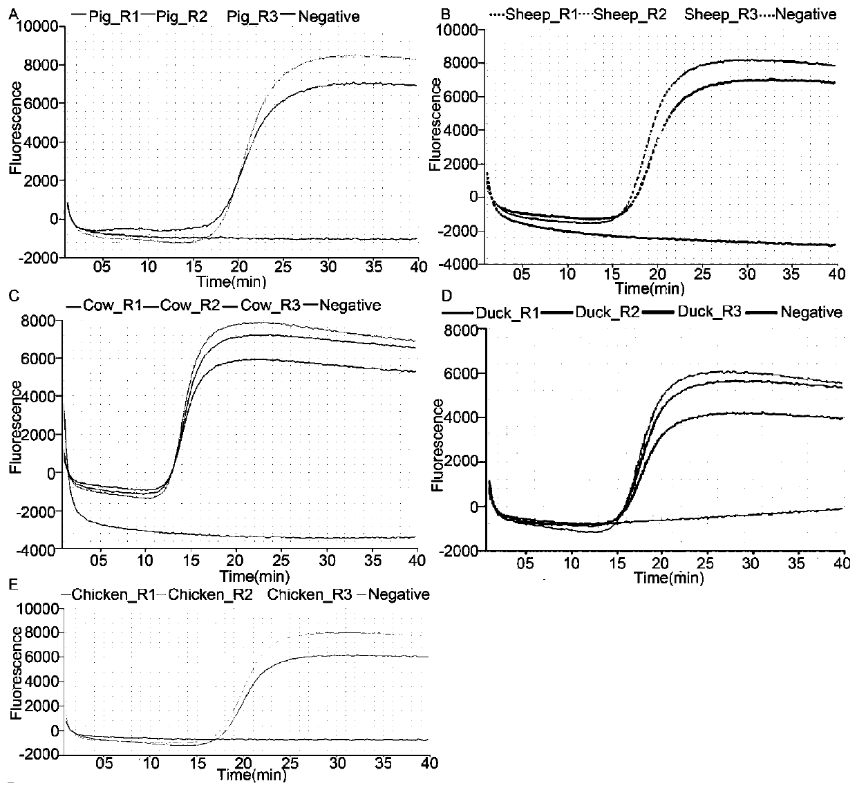 Multi-animal-derived adulteration identification method based on whole genome sequencing technology