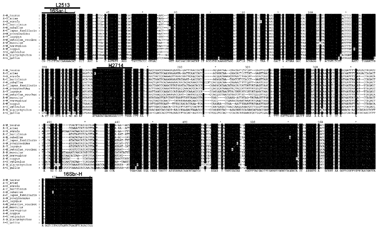 Multi-animal-derived adulteration identification method based on whole genome sequencing technology