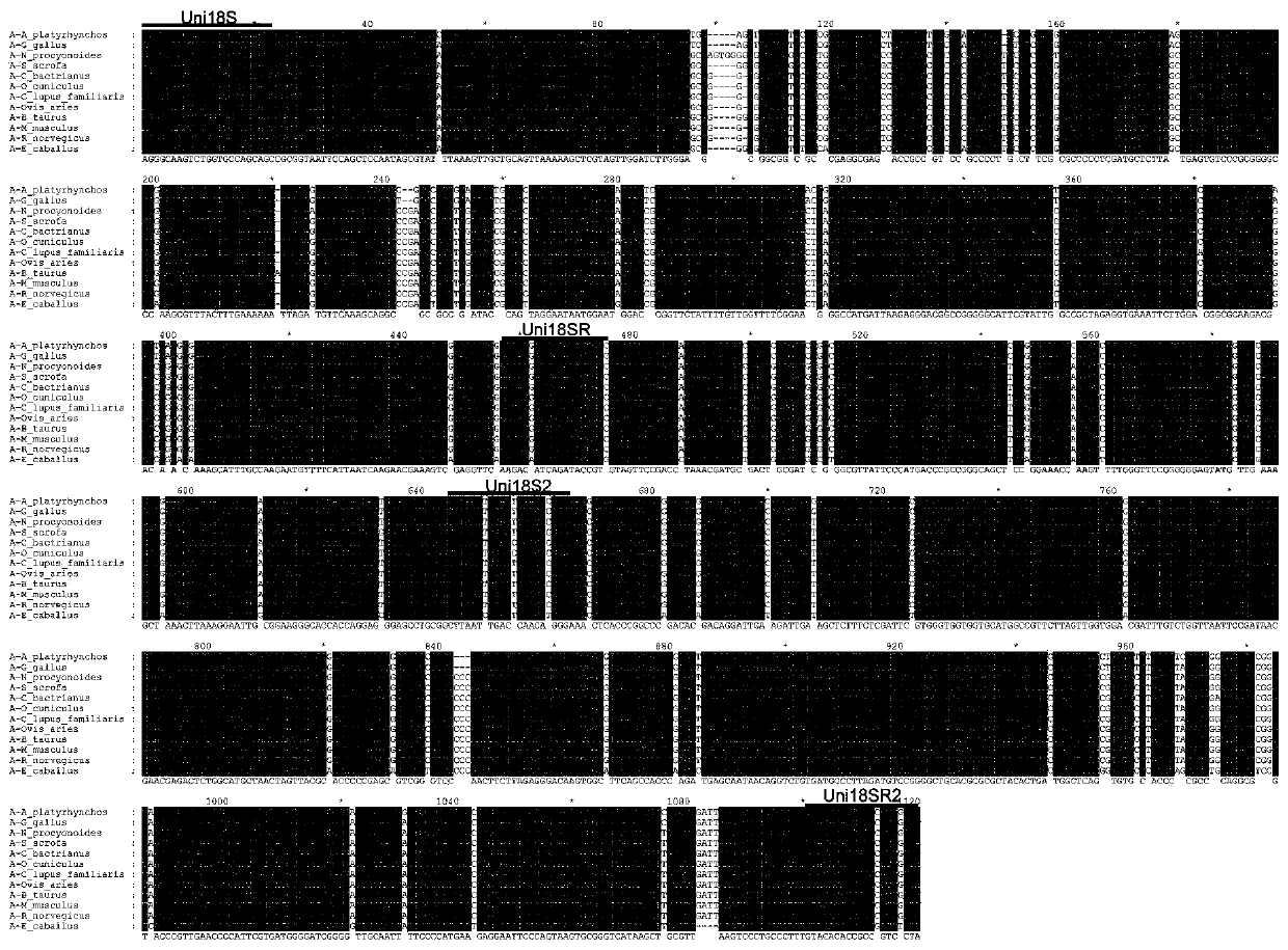 Multi-animal-derived adulteration identification method based on whole genome sequencing technology