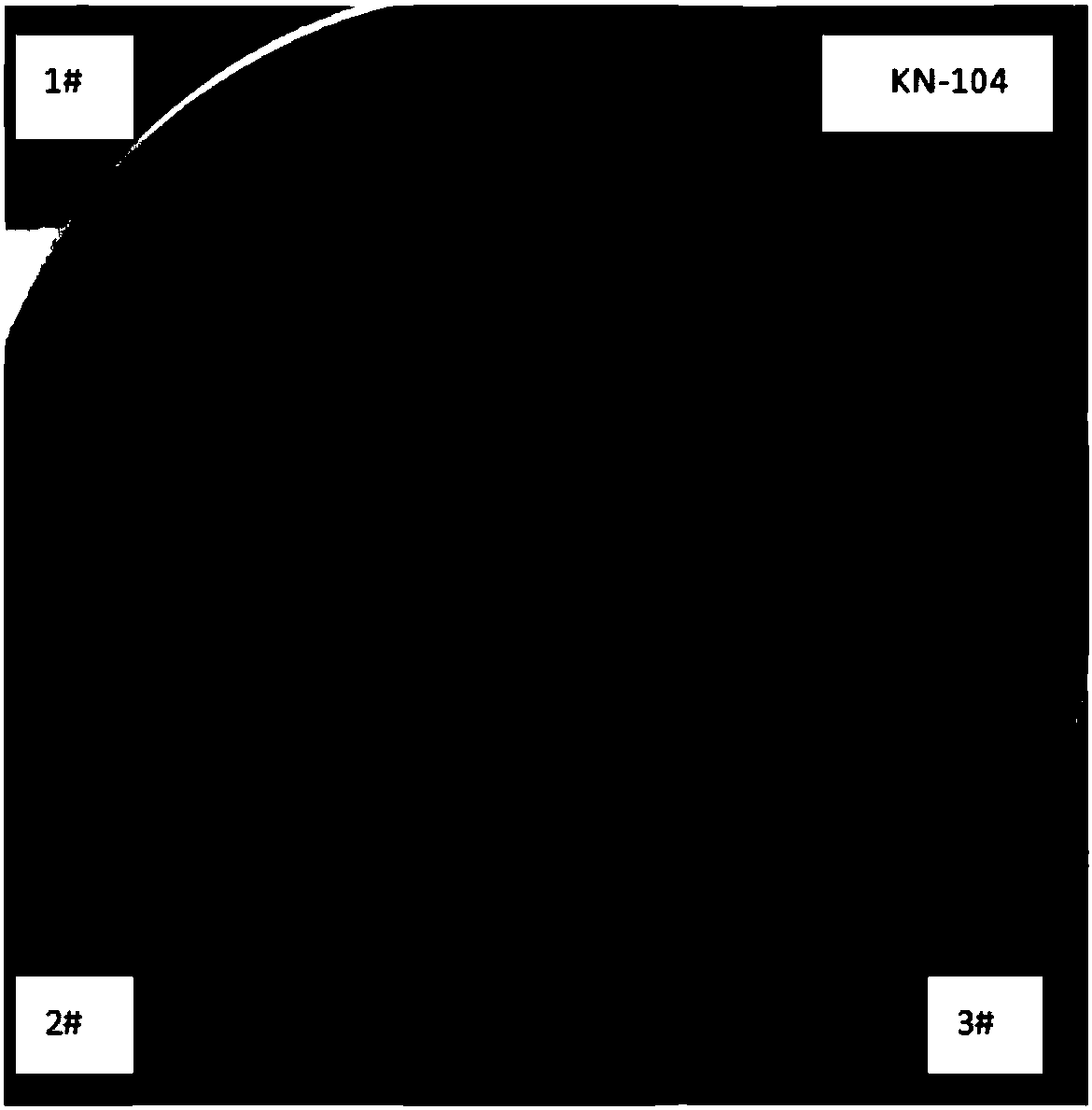 Bacillus subtilis and culture method thereof