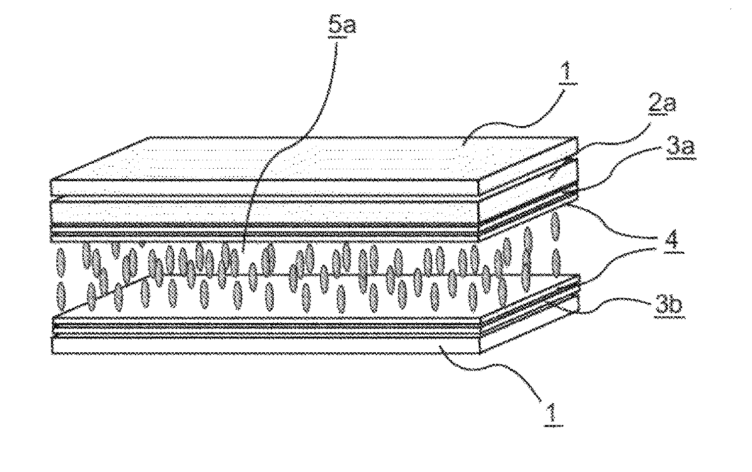 Liquid crystal display device