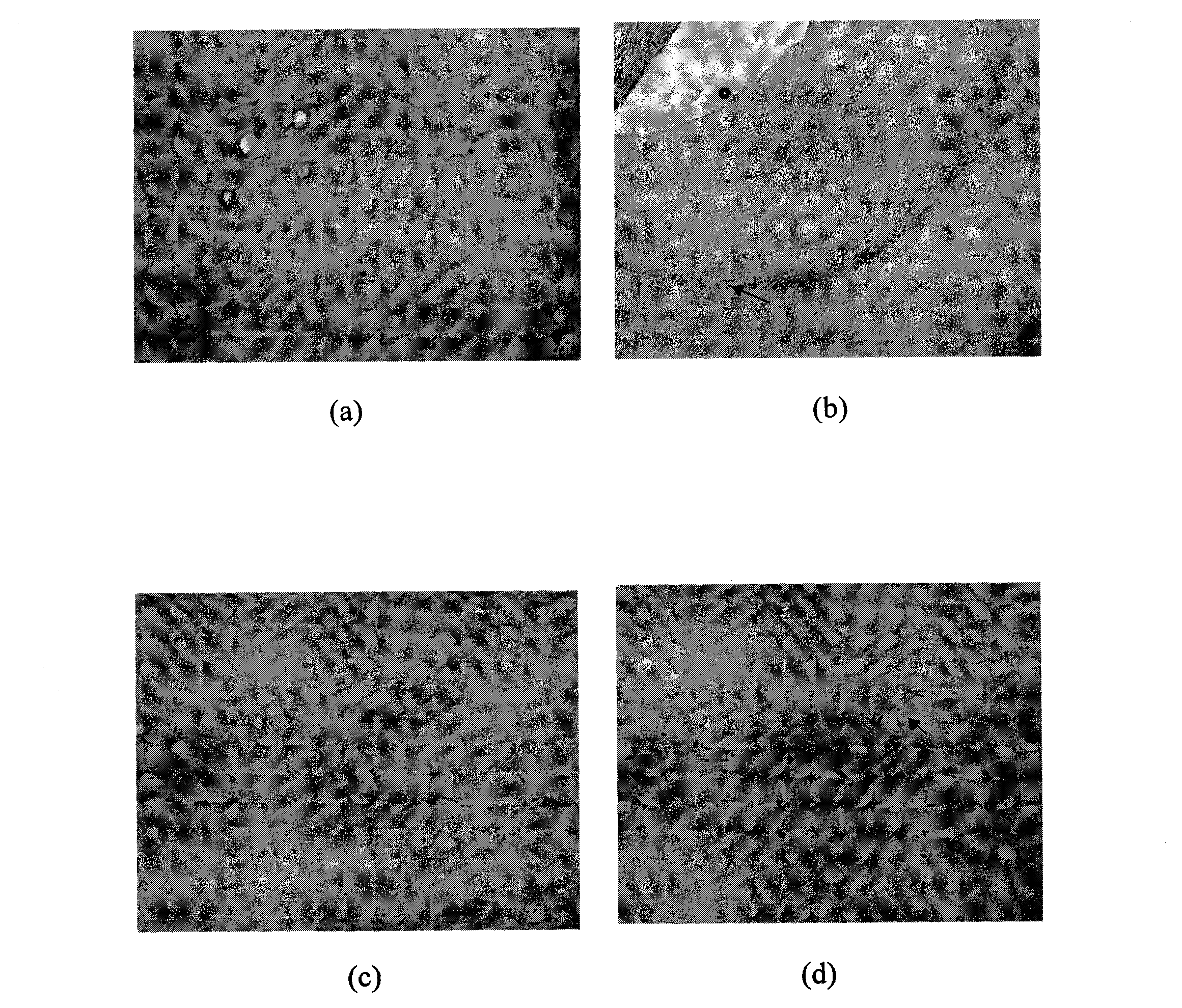 Novel application of 2,4-dimethoxyl trans-stilben