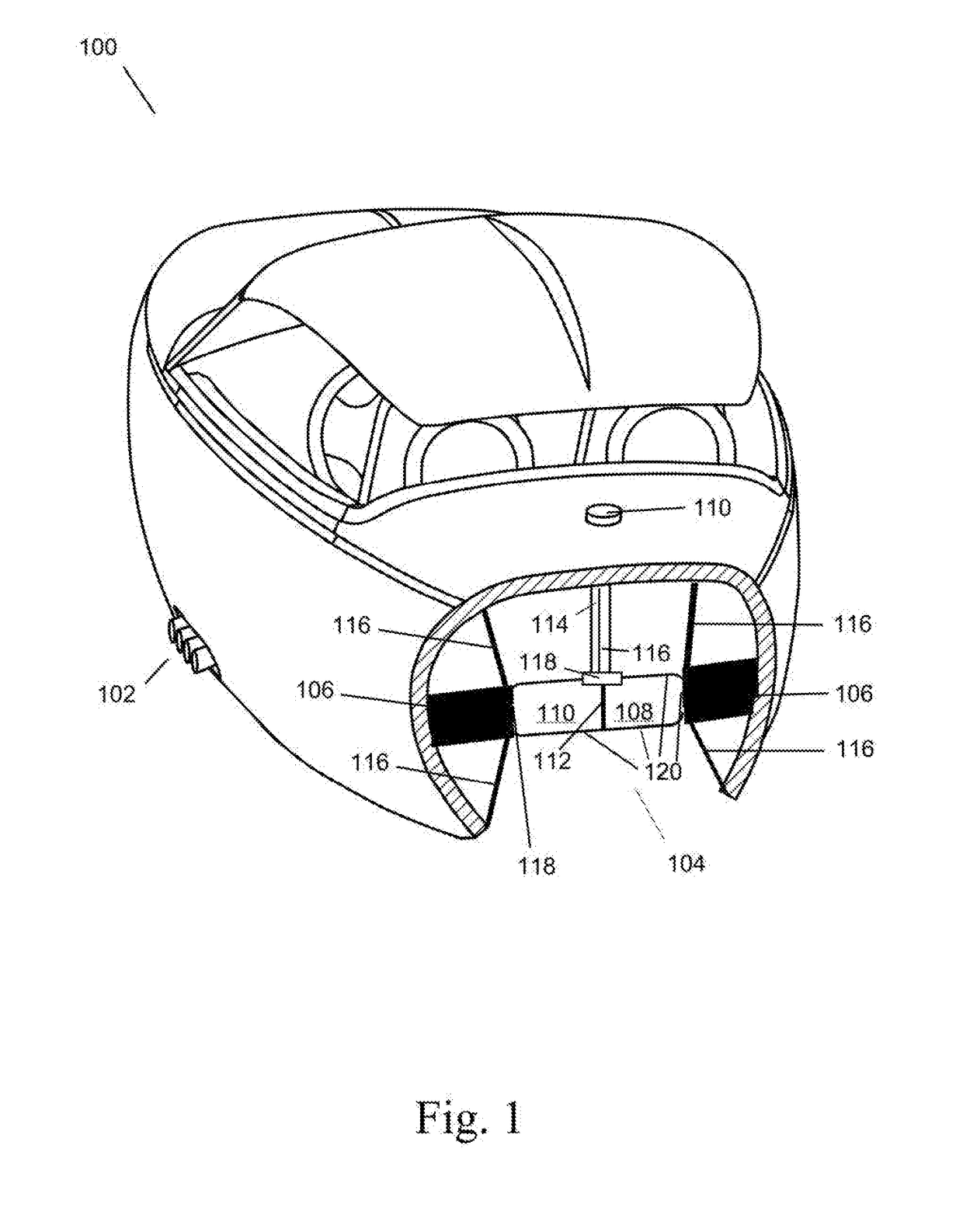 Fuel Tank With Carbon Dioxide Storage