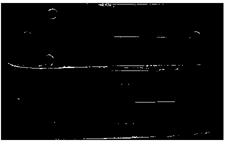 Preparation method of high molecular polymer micro-fluidic chip