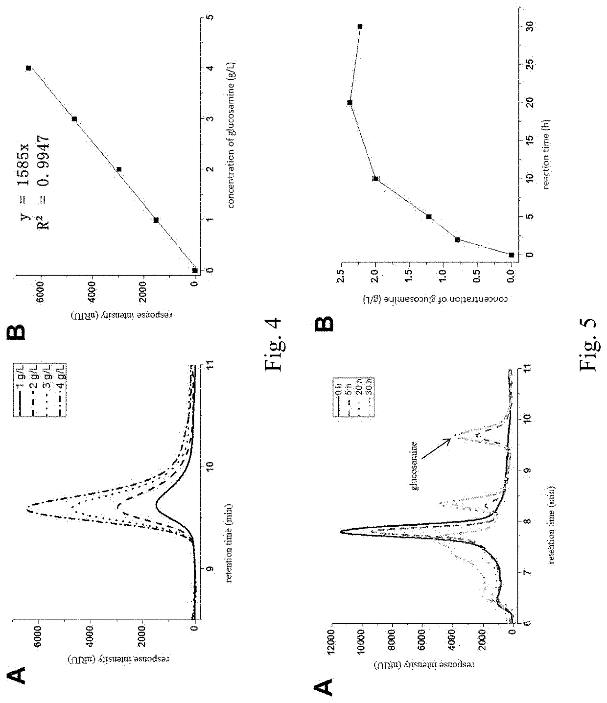 Enzymetic preparation of glucosamine