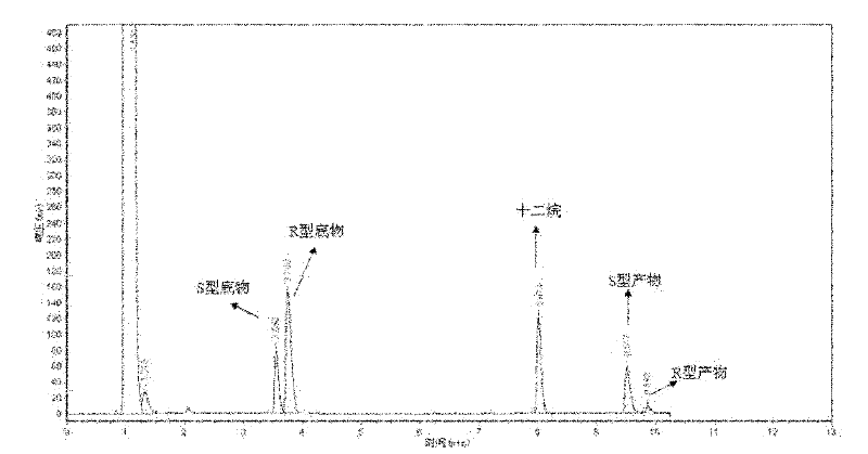 Rhodococcus ZJPH1003 and application thereof in preparing S-(+)-2,2-dimethylcyclopropane carboxylic acid