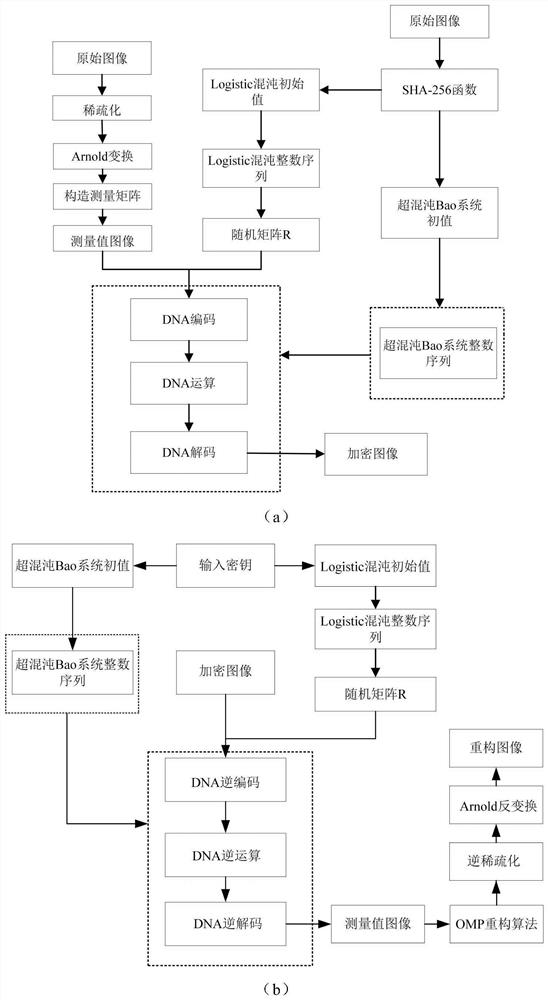 Image compression encryption and decryption method based on compressed sensing and DNA coding