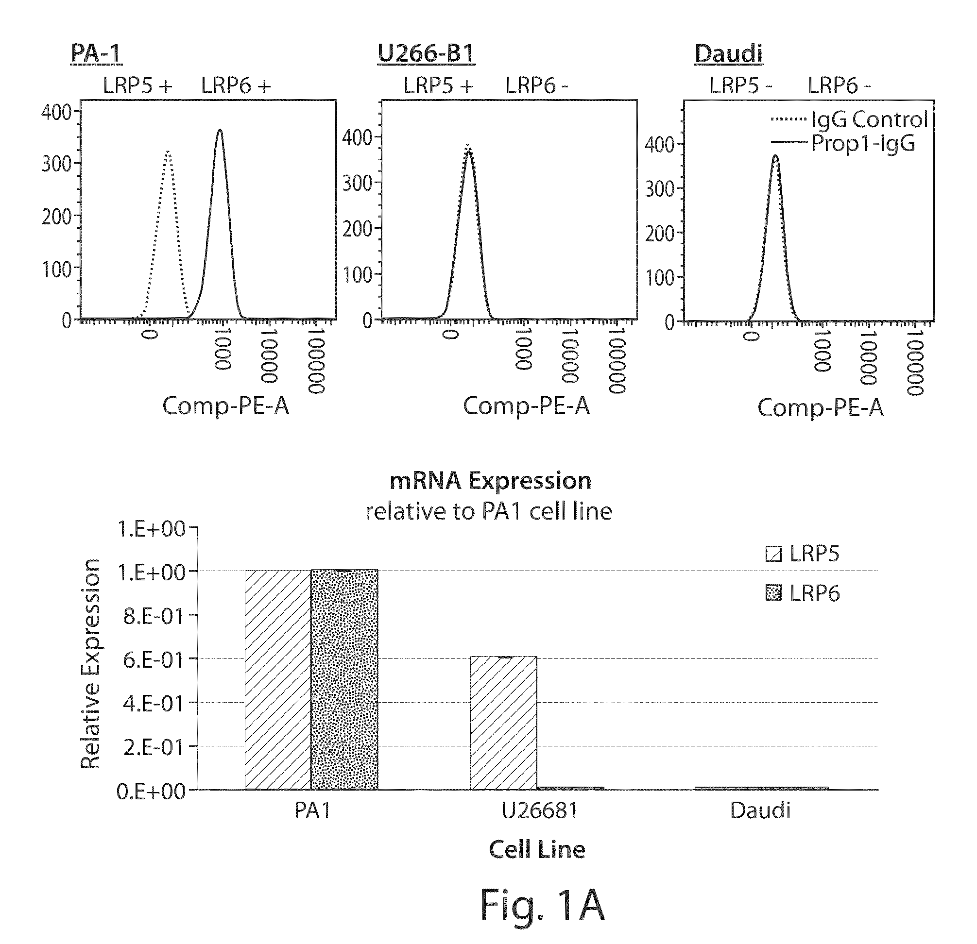 Therapeutic low density lipoprotein-related protein 6 (LRP6) multivalent antibodies