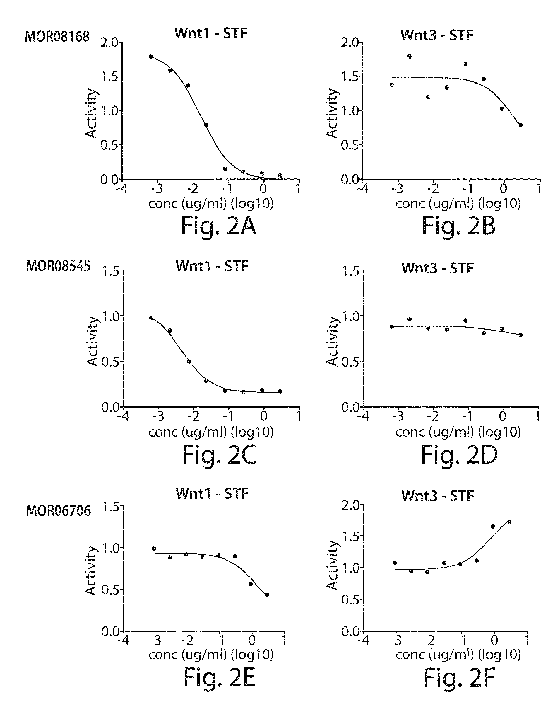 Therapeutic low density lipoprotein-related protein 6 (LRP6) multivalent antibodies