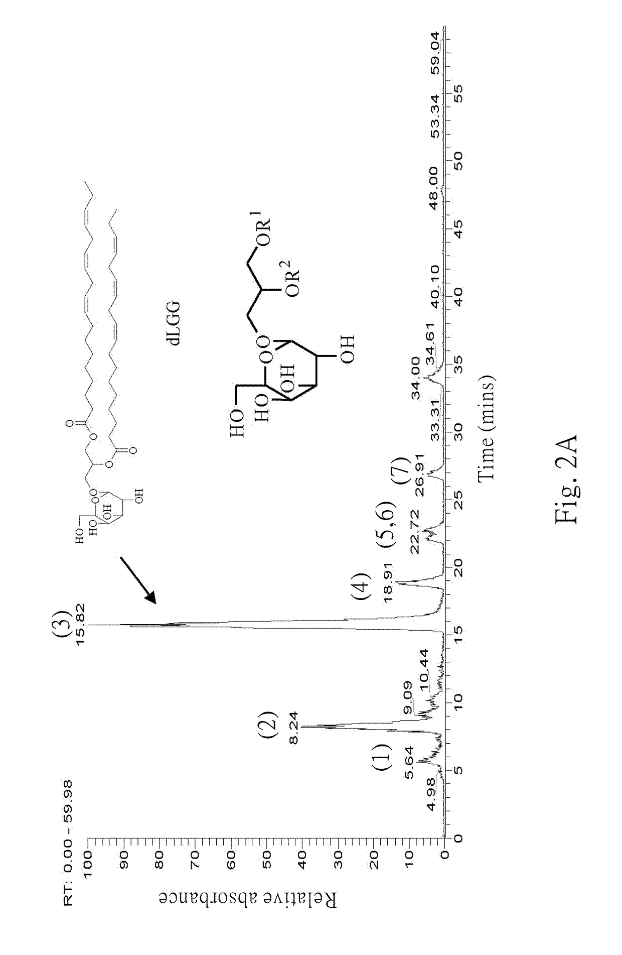 Galactolipids-enriched plant extracts and the uses thereof