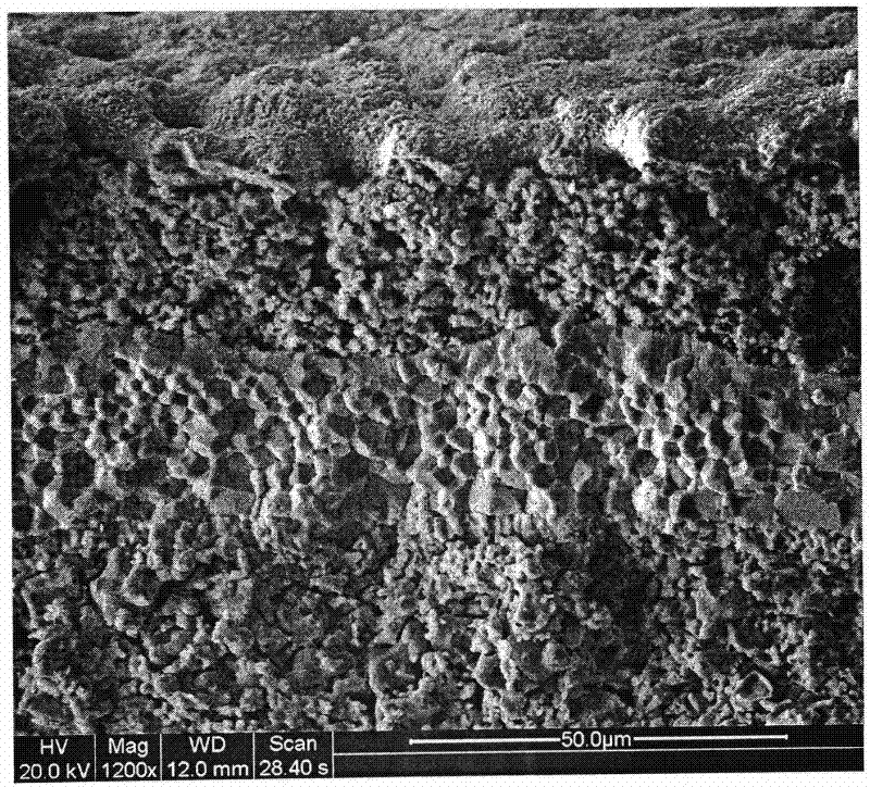 Solid oxide fuel battery system and preparation method thereof