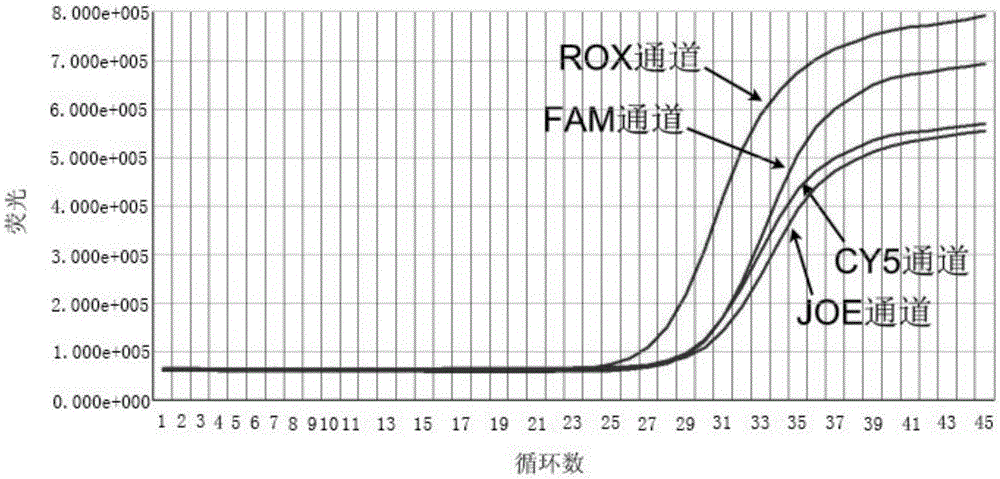 Multicolor fluorescence PCR kit and method for detecting HLA-B*5801 allele