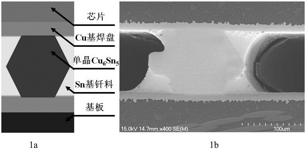 Directional interconnection method for Cu6Sn5-base single-crystal lead-free solder joints for high-temperature packaging