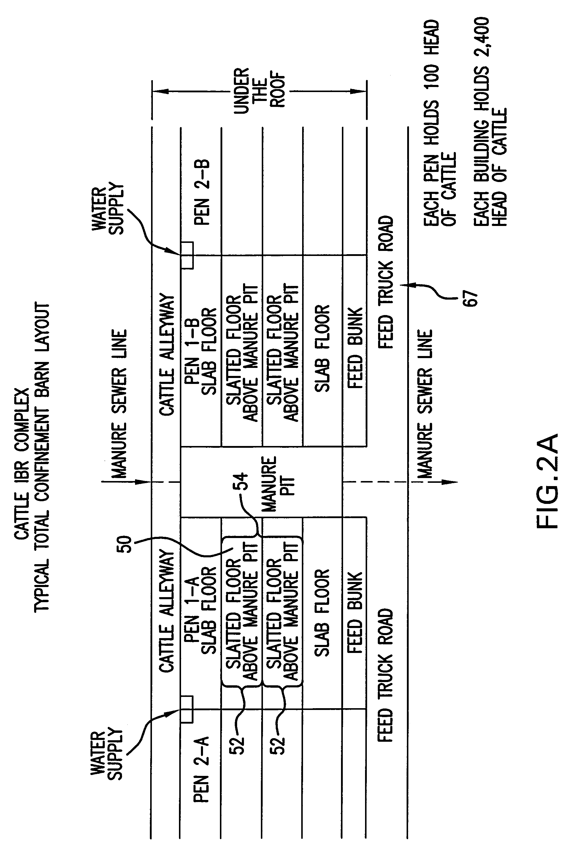 Integrated process for producing "clean beef" (or milk), ethanol, cattle feed and bio-gas/bio-fertilizer