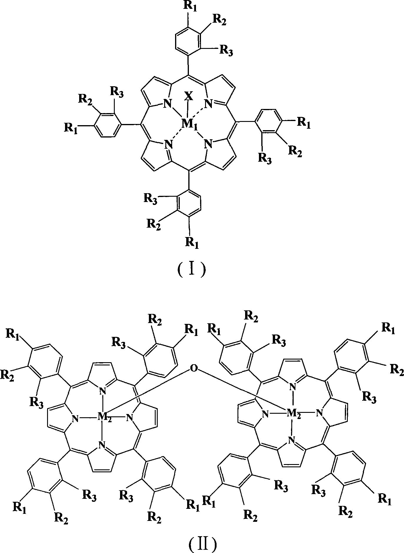 Process for preparing epoxy-compound by catalytic oxidation of alpha-olefin by metal porphyrin