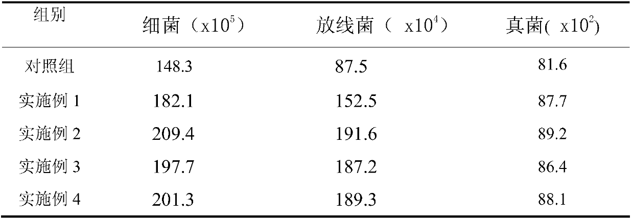 Bio-fertilizer containing radix paeoniae alba protein and preparation method of bio-fertilizer