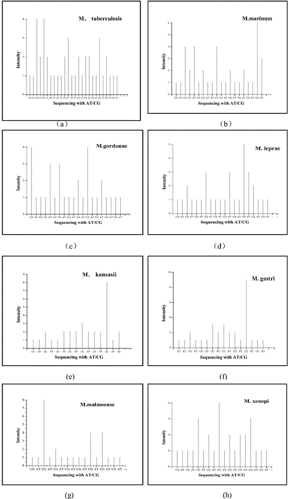 A method for identification of microbial populations by two nucleotide real-time sequencing-by-synthesis profiles