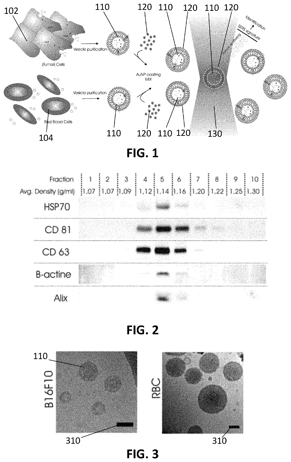 Method and system for characterizing extracellular vesicles