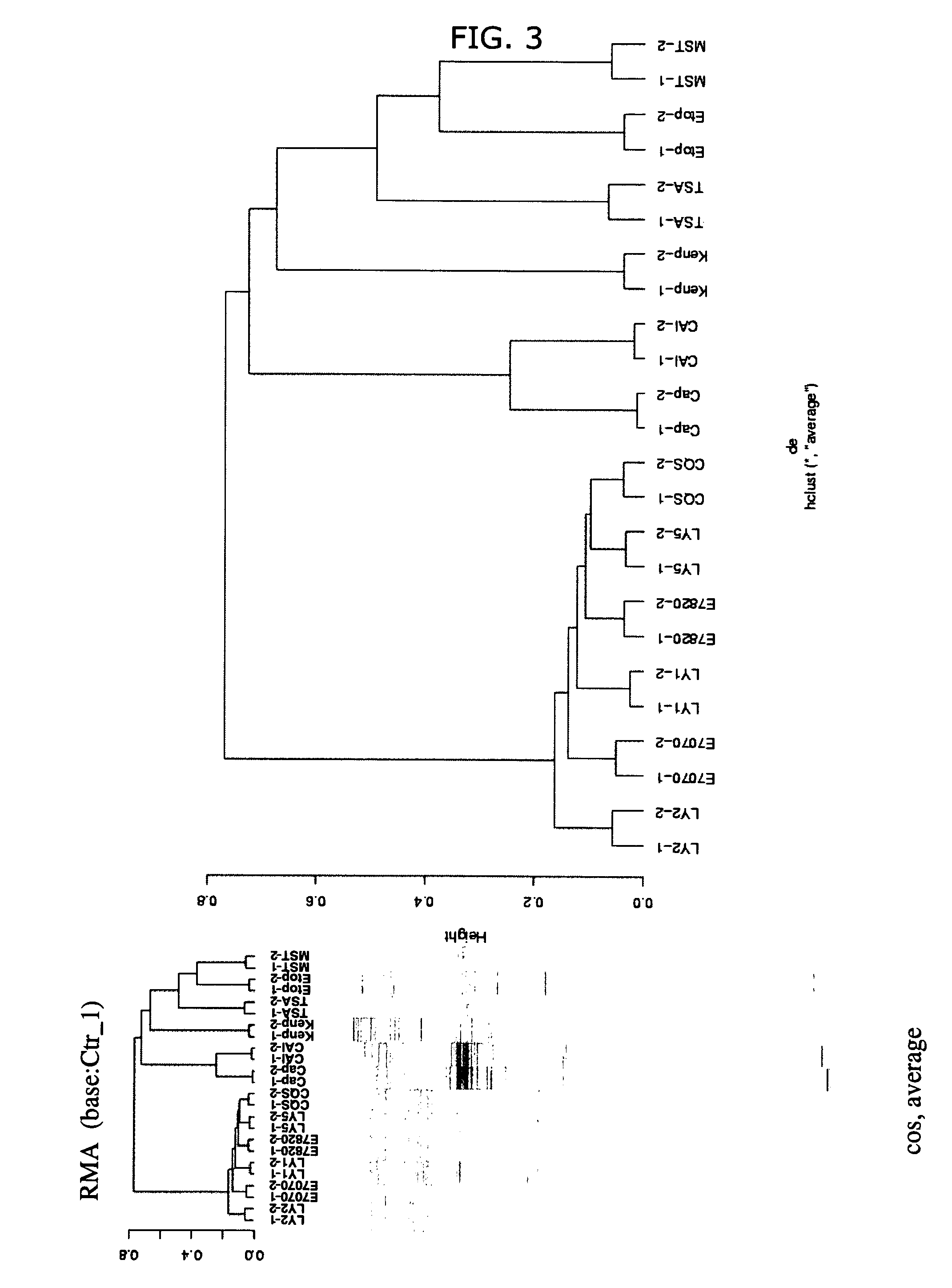 Use of sulfonamide-including compounds in combination with angiogenesis inhibitors