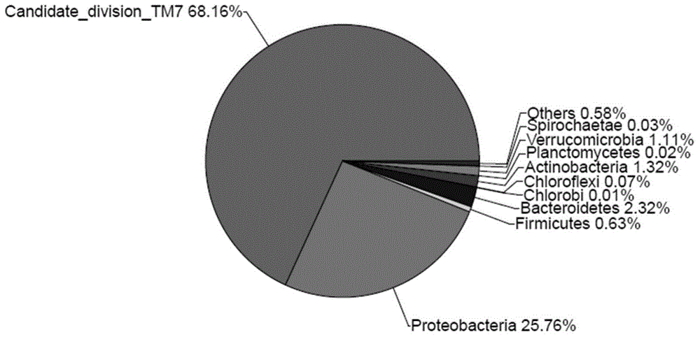 Denitrification method for waste water low in carbon nitrogen ratio