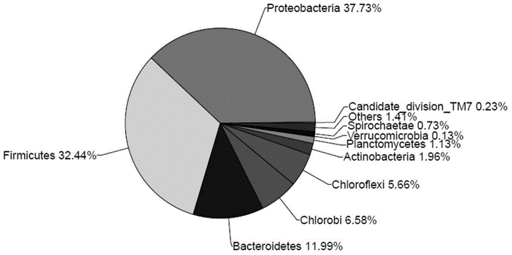 Denitrification method for waste water low in carbon nitrogen ratio