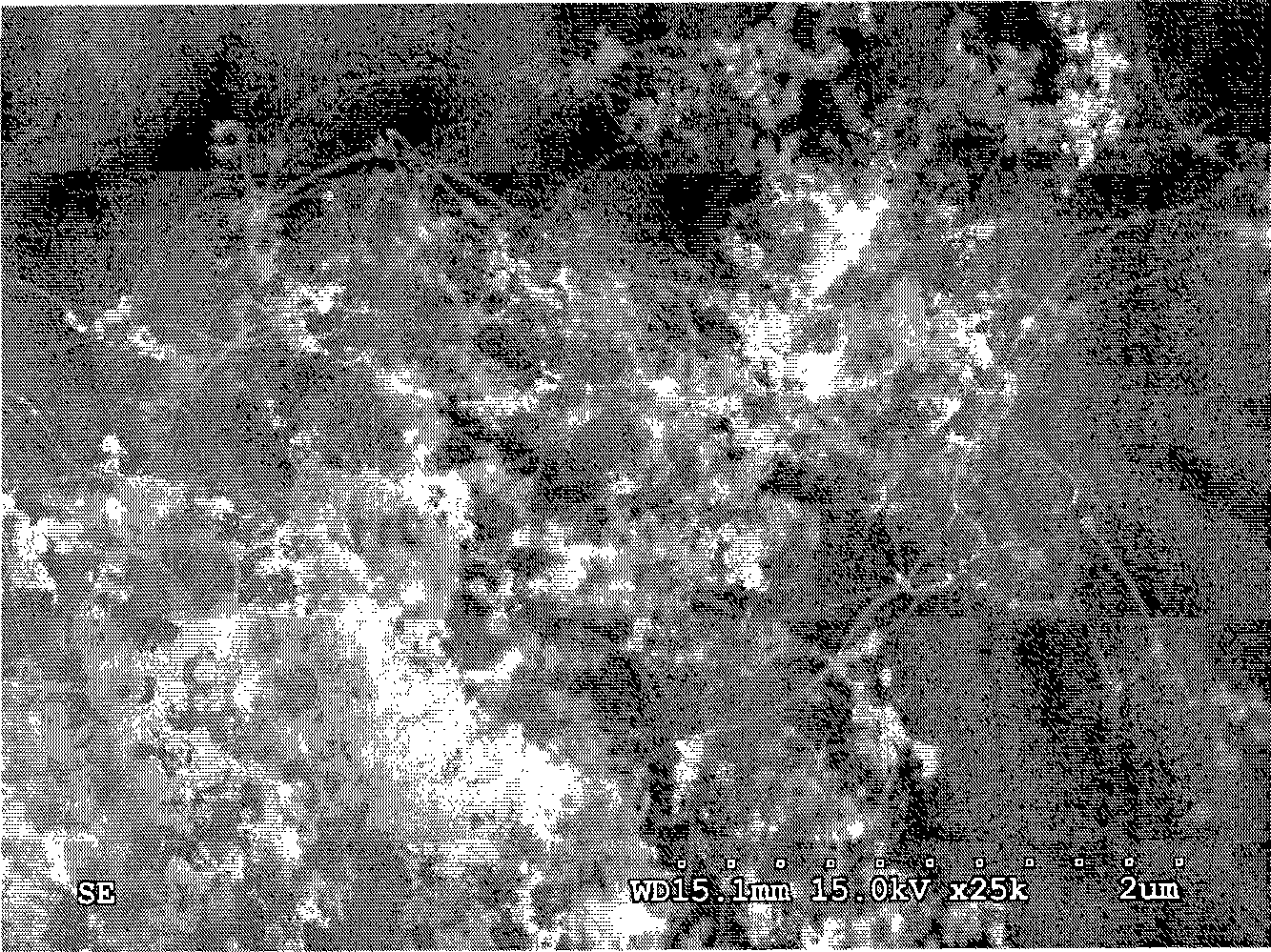 Nitrogen doped carbon nanotube and preparation method thereof, and carbon nanotube element