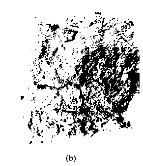 Method for batch preparation of pure phase AlON transparent ceramic powder body