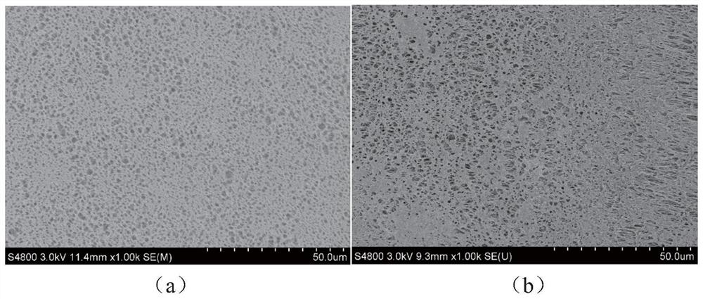 Inner surface hydrophilic modified hollow fiber membrane and its preparation method and application